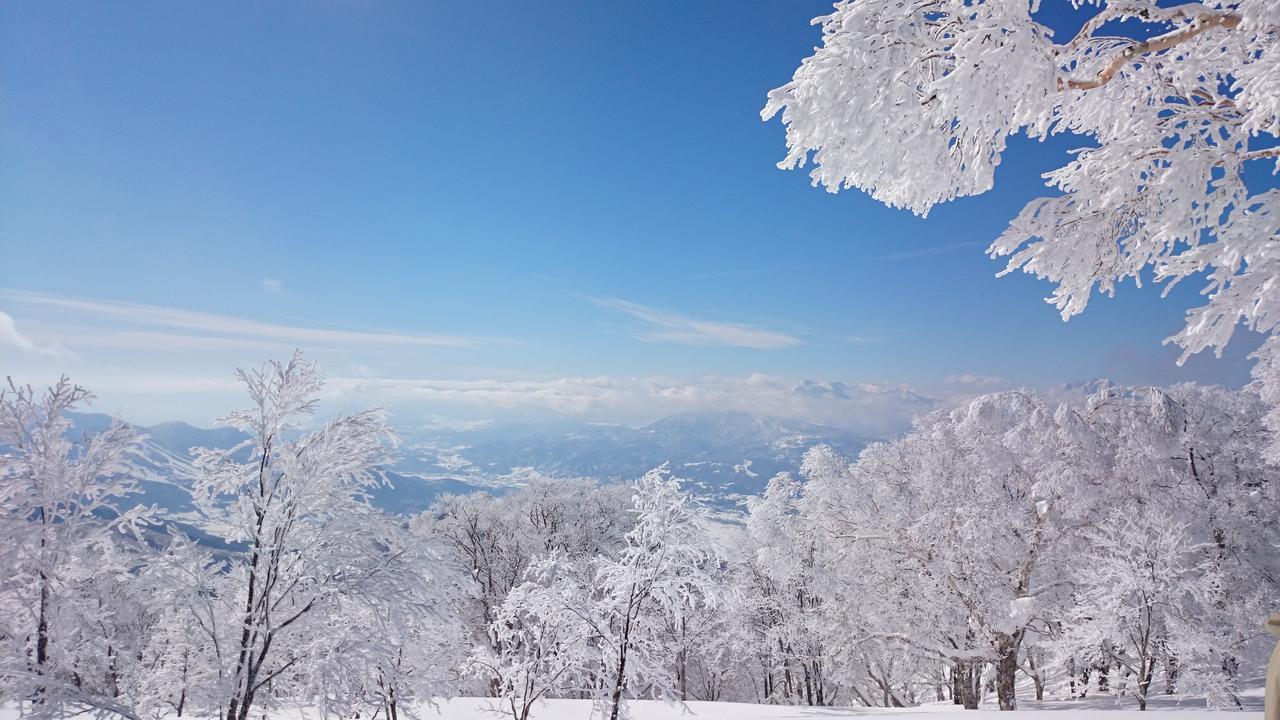 Hotel Nozawa Dream Zewnętrze zdjęcie