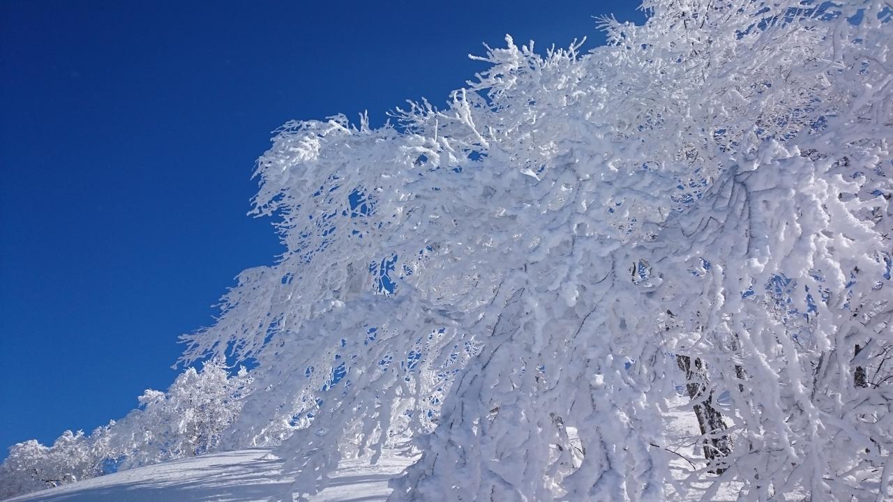 Hotel Nozawa Dream Zewnętrze zdjęcie