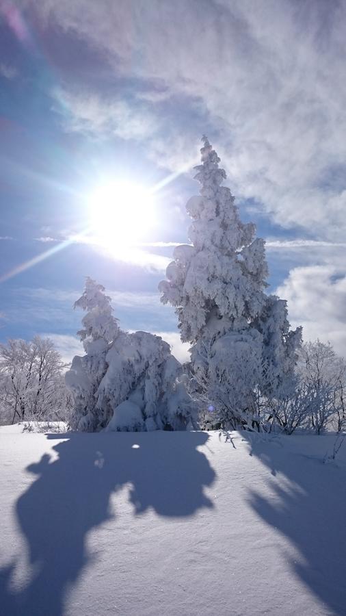 Hotel Nozawa Dream Zewnętrze zdjęcie